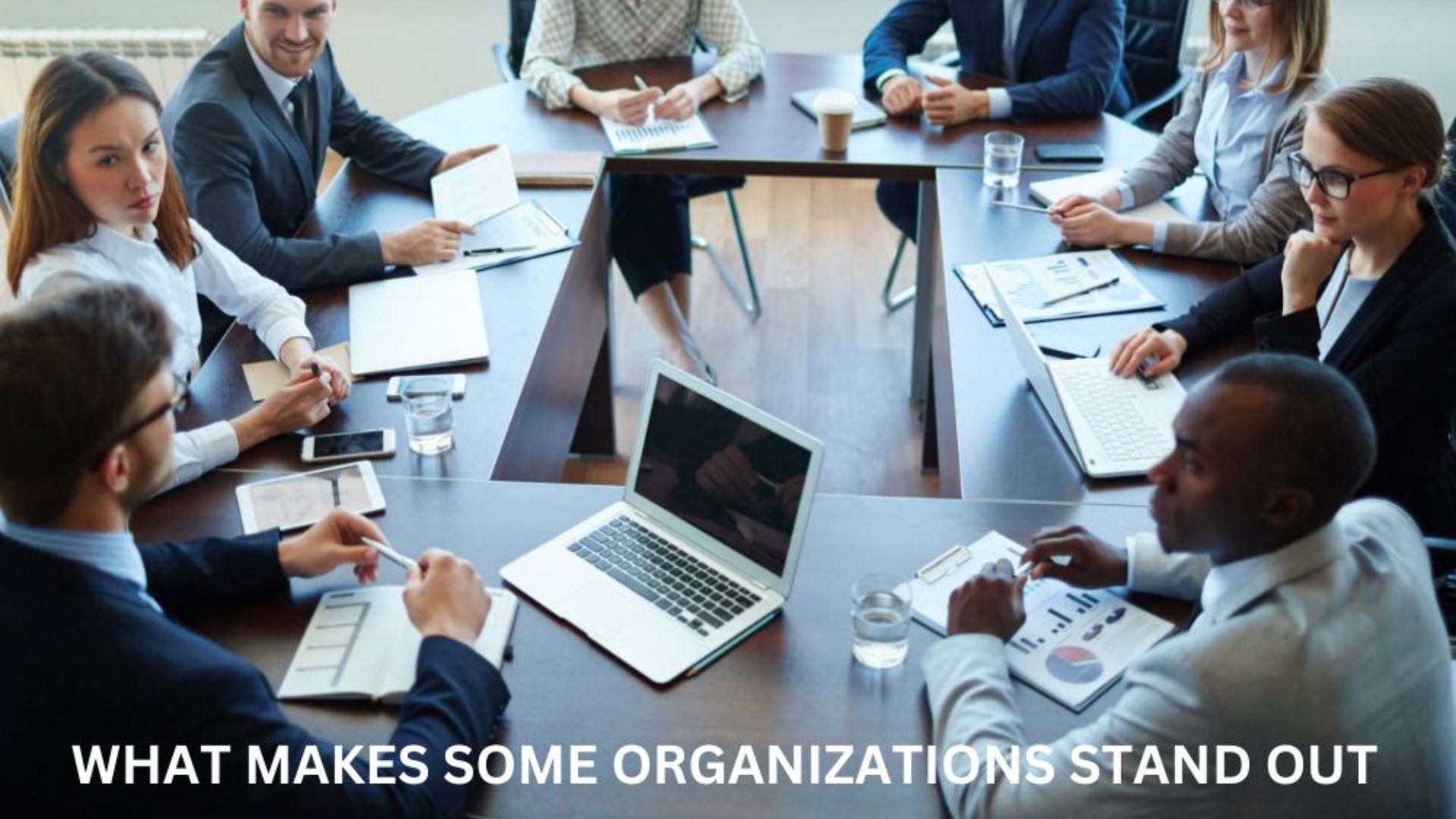 Successful organization exemplifying key growth factors